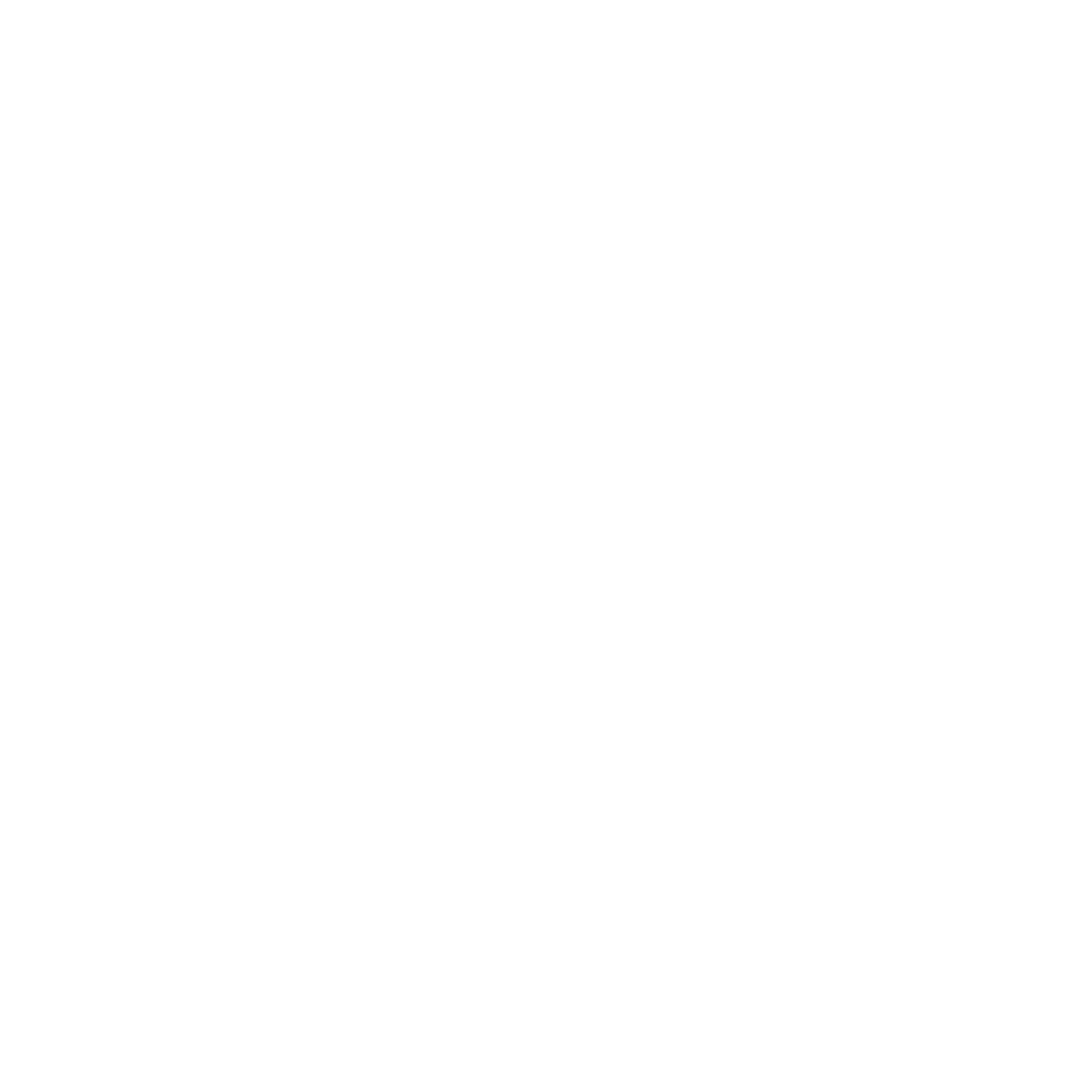 Fortify IT — Protecting Your Network