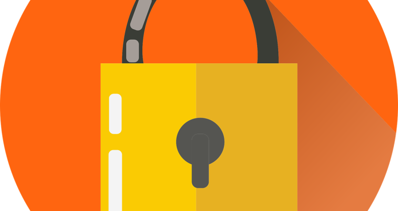 Free lock security key vector